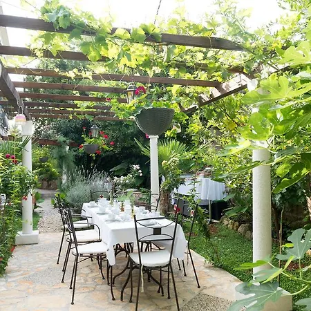 Garden فندق مبيت وإفطار