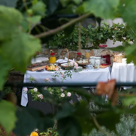 Garden 3* دوبروفينك