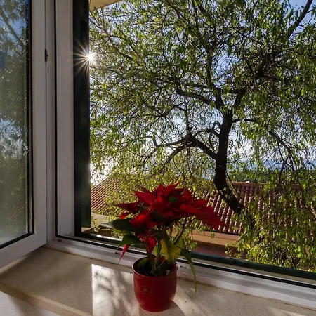 Garden فندق مبيت وإفطار دوبروفينك