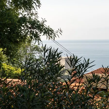 Garden 3*