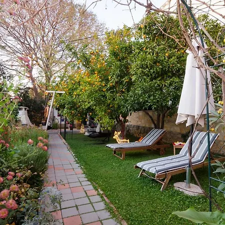 Garden 3* دوبروفينك