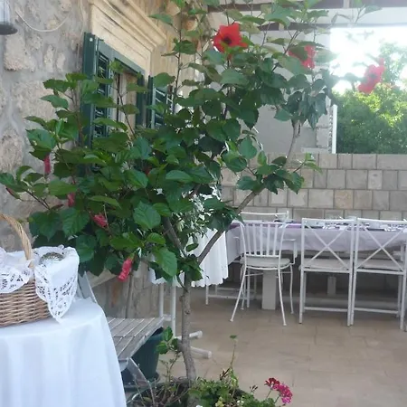 فندق مبيت وإفطار Garden 3*