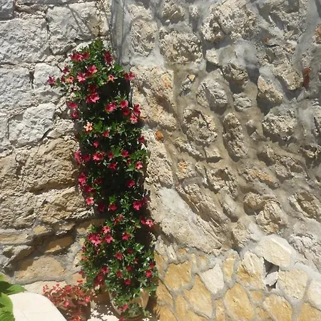 Garden فندق مبيت وإفطار 3*