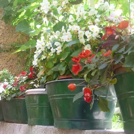 Garden 3* دوبروفينك
