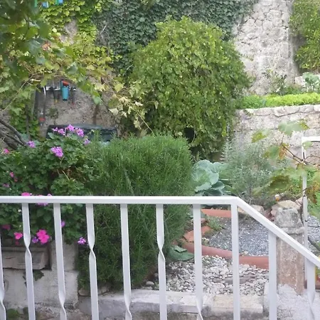 Garden فندق مبيت وإفطار